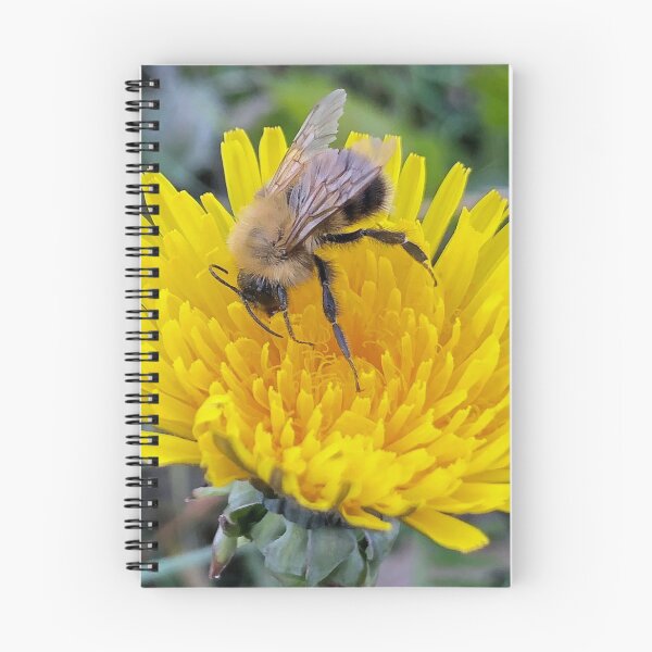 Item preview, Buddy Bee 1 designed and sold by NorthernExposed.