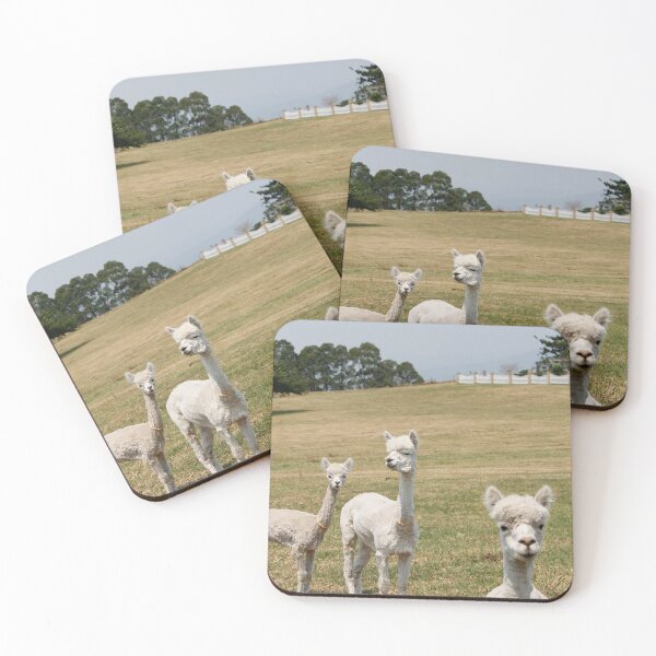 Item preview, ALPACAS! designed and sold by Maaikethemaia.