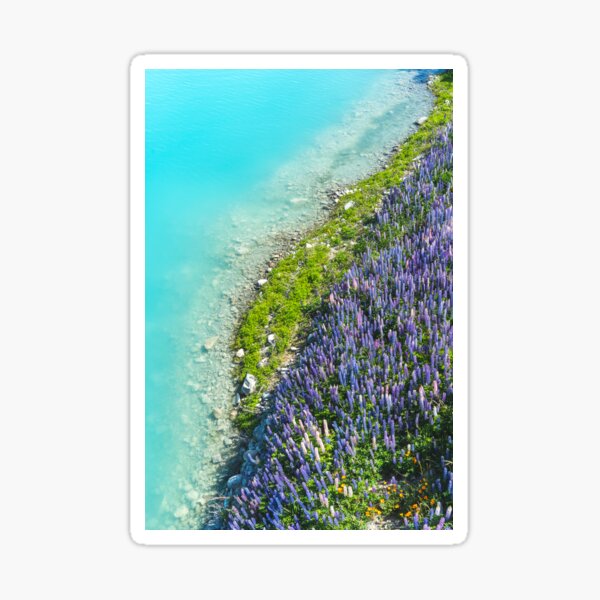 Shoreline Sticker
