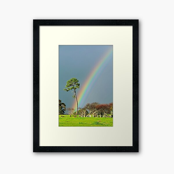 serious rainbow Framed Art Print