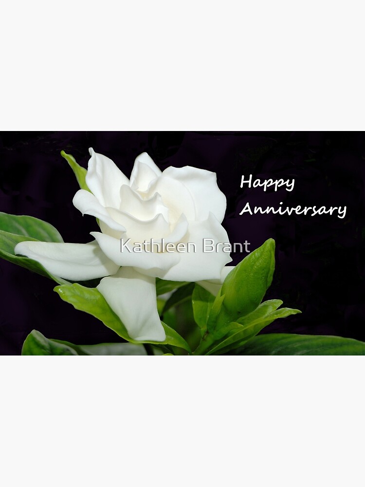 Download Greeting Card Gardenia Happy Anniversary Greeting Card By Gurineb Redbubble