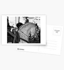 Dance Partners Postcards