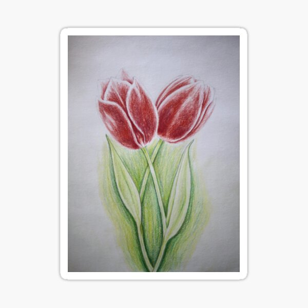 Two red tulips Sticker