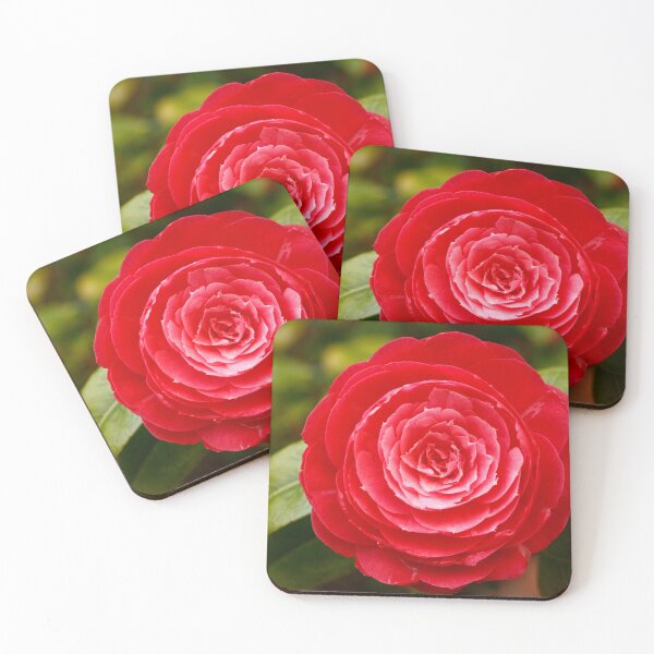 Item preview, Camellia japonica designed and sold by Gaspar Avila.