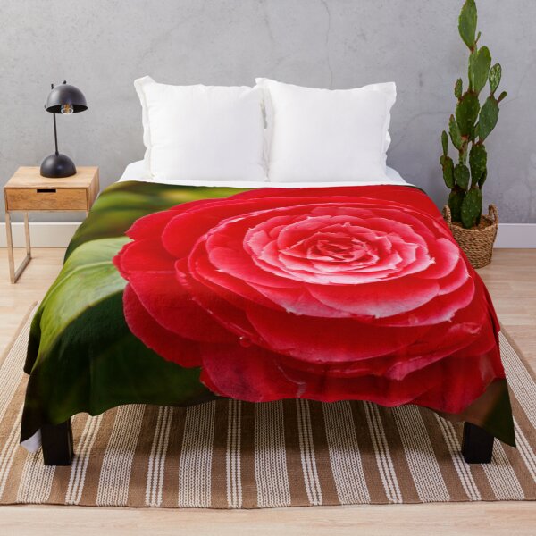 Item preview, Camellia japonica designed and sold by Gaspar Avila.