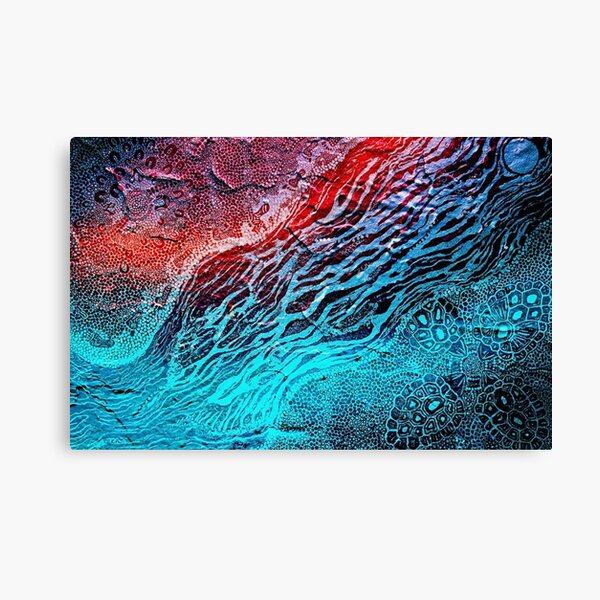 Sea Turtle Dreaming Canvas Print