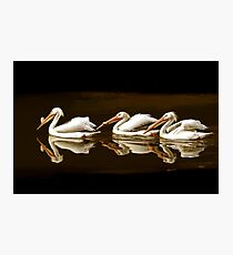 The Travelers Photographic Print