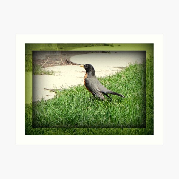 This is my best side!!! © Art Print