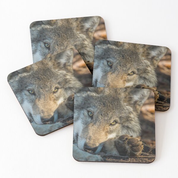 Item preview, Timber Wolf designed and sold by Michael Cummings.