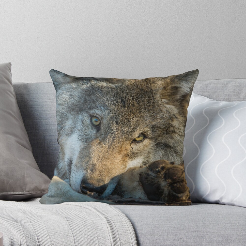 Item preview, Throw Pillow designed and sold by jaydee1400.