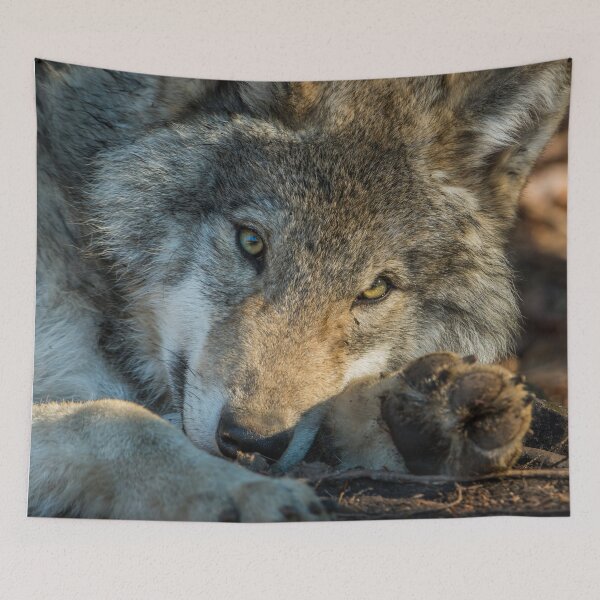 Item preview, Timber Wolf designed and sold by Michael Cummings.