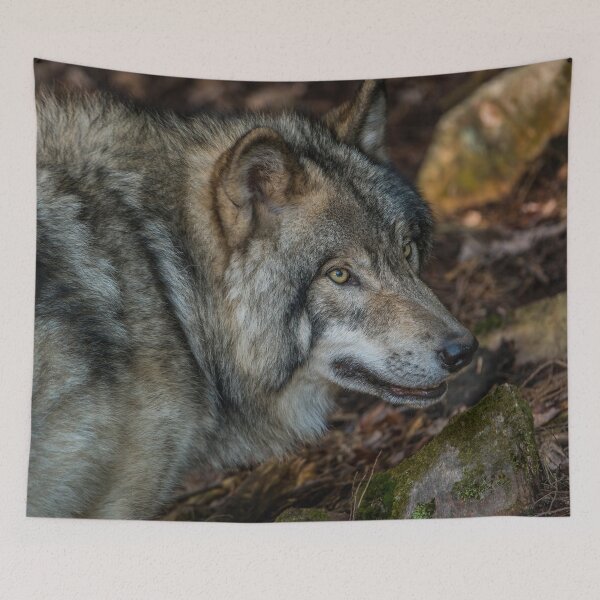 Item preview, Timber Wolf  designed and sold by Michael Cummings.