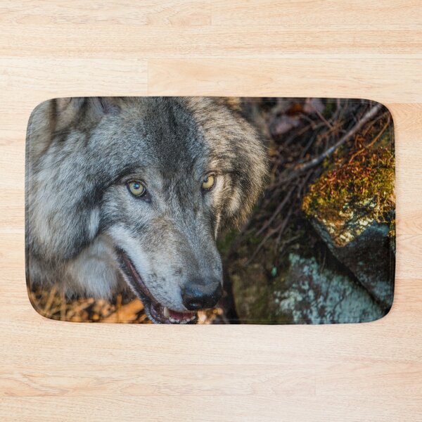 Item preview, Timber Wolf - Closeup designed and sold by Michael Cummings.