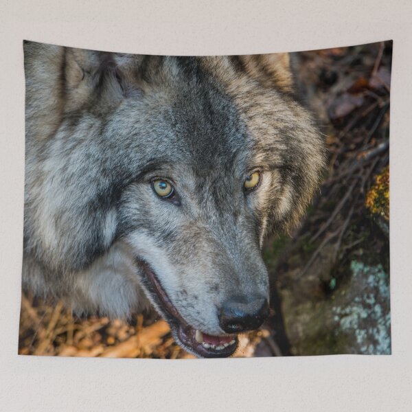 Item preview, Timber Wolf - Closeup designed and sold by Michael Cummings.