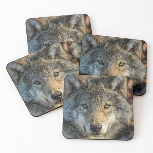 Item preview, Timber Wolf - Looking at you. designed and sold by Michael Cummings.