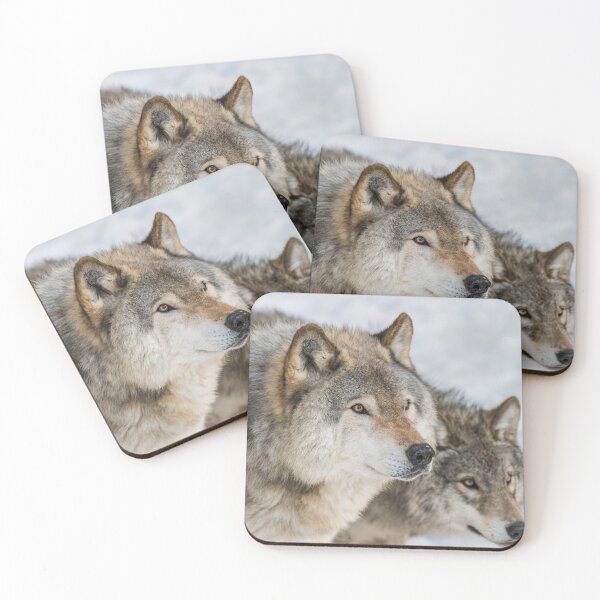 Item preview, Timber Wolves designed and sold by Michael Cummings.
