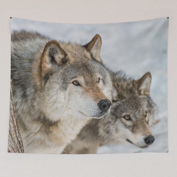 Item preview, Timber Wolves designed and sold by Michael Cummings.