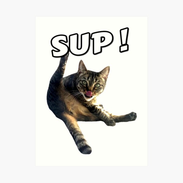 "Cat Licking its Butt" Art Print for Sale by azbotees Redbubble