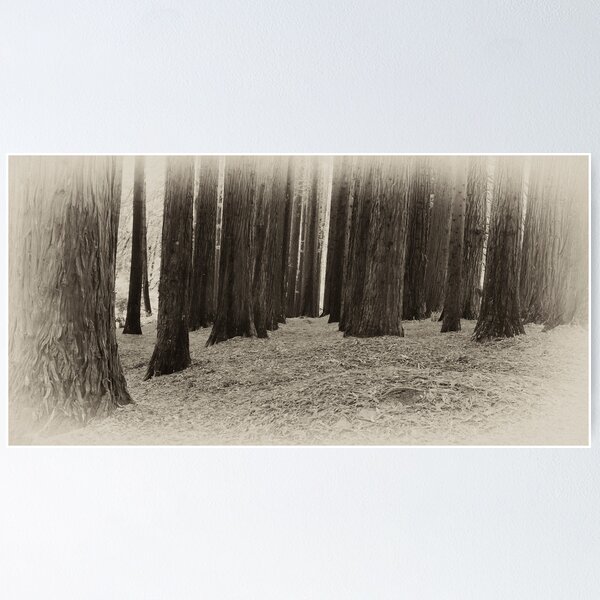 Item preview, Red Woods - Otways Victoria designed and sold by Graeme Buckland.