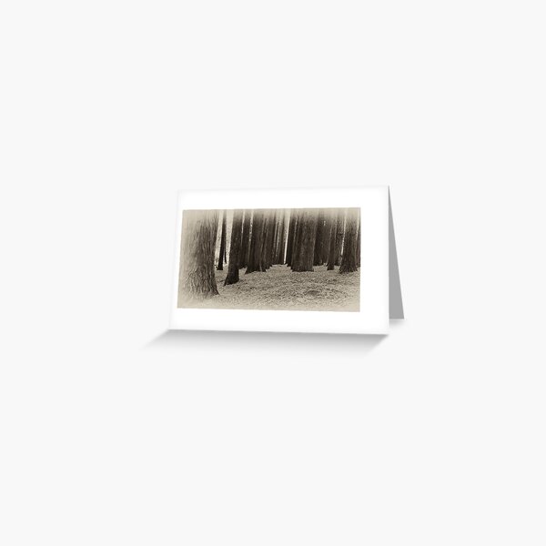 Item preview, Red Woods - Otways Victoria designed and sold by Graeme Buckland.