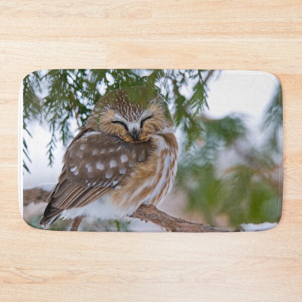 Item preview, Sleeping Northern Saw Whet Owl - Ottawa, Ontario designed and sold by Michael Cummings.