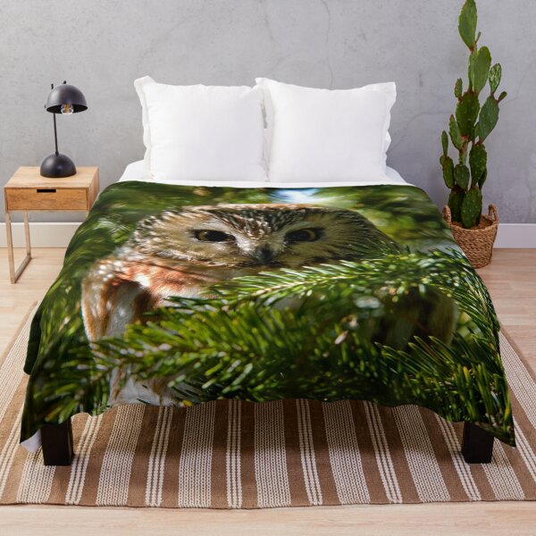 Item preview, Northern Saw Whet Owl - Amherst Island, Ontario, Canada designed and sold by Michael Cummings.