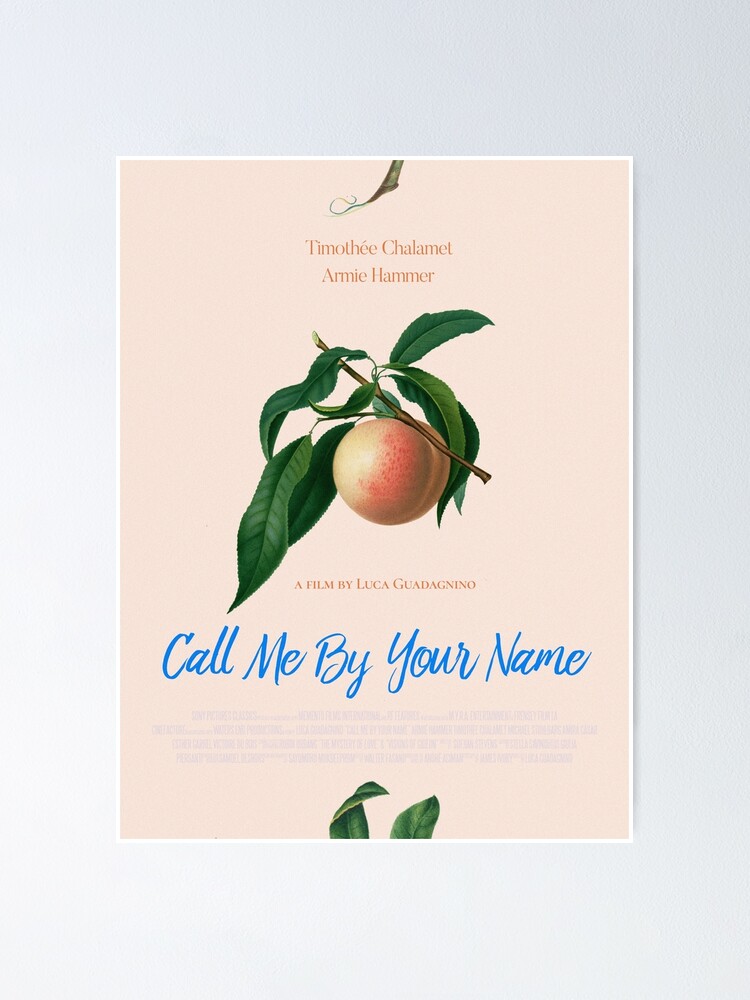 Call Me By Your Name Alternative Movie Poster Poster For Sale By Ashleyray323 Redbubble