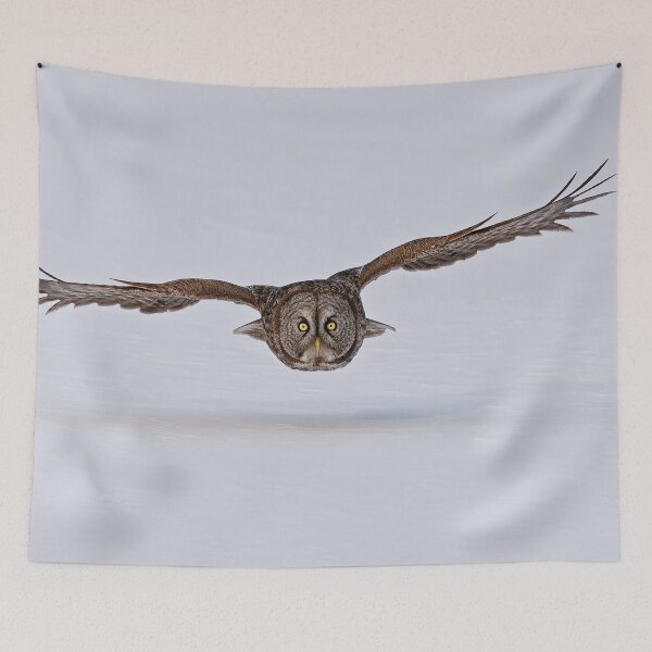 Item preview, Great Gray Owl in Flight - Ottawa, Ontario designed and sold by Michael Cummings.