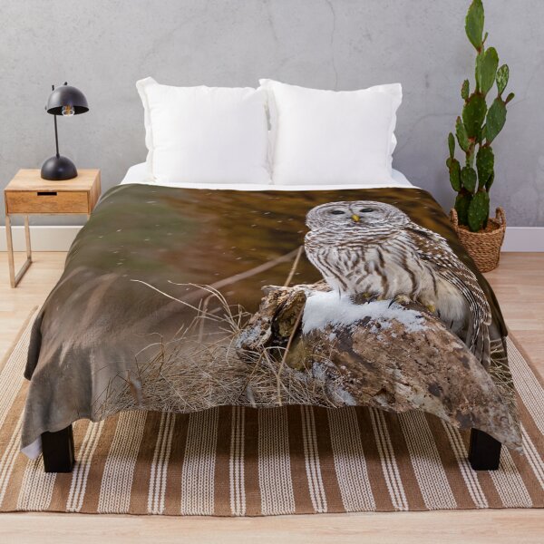Item preview, Barred Owl on log designed and sold by Michael Cummings.