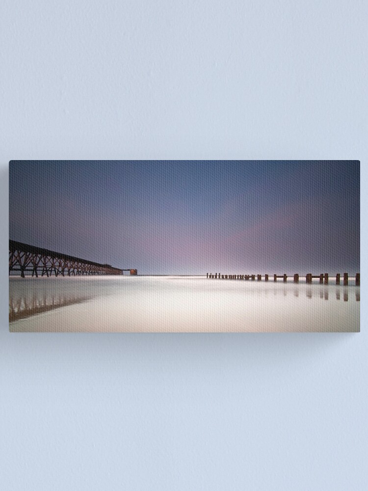 Alternate view of Twin_ Canvas Print