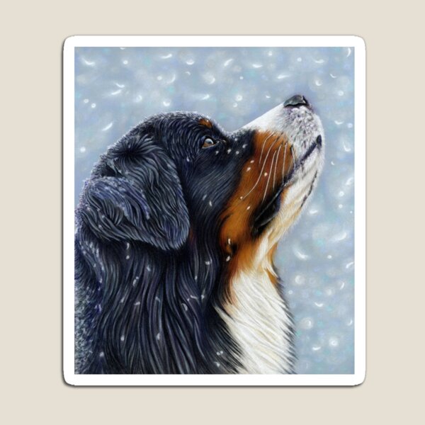 Blissful Blue - Bernese Mountain Dog Catching Snowflakes Magnet