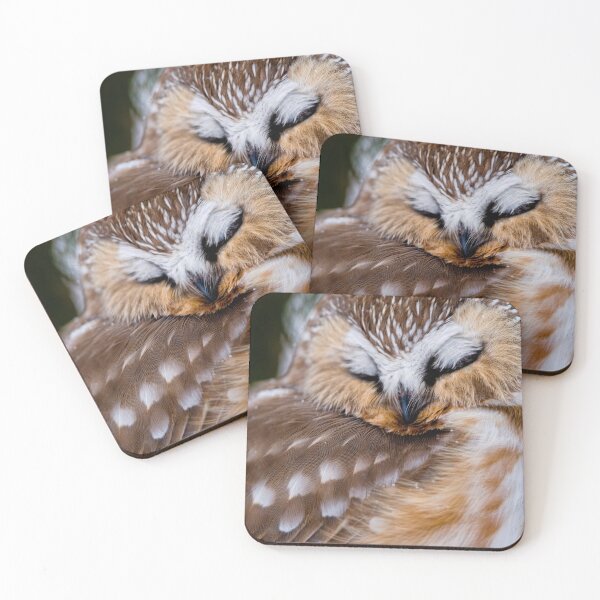 Item preview, Northern Saw Whet Owl - Ottawa, Canada designed and sold by Michael Cummings.