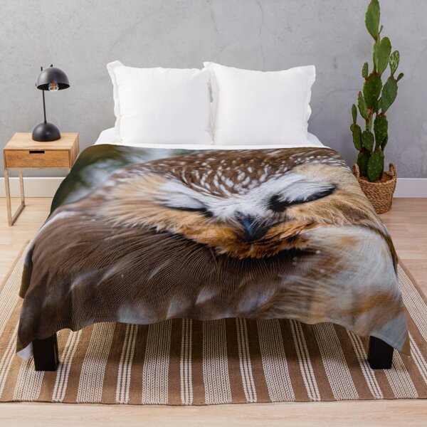 Item preview, Northern Saw Whet Owl - Ottawa, Canada designed and sold by Michael Cummings.