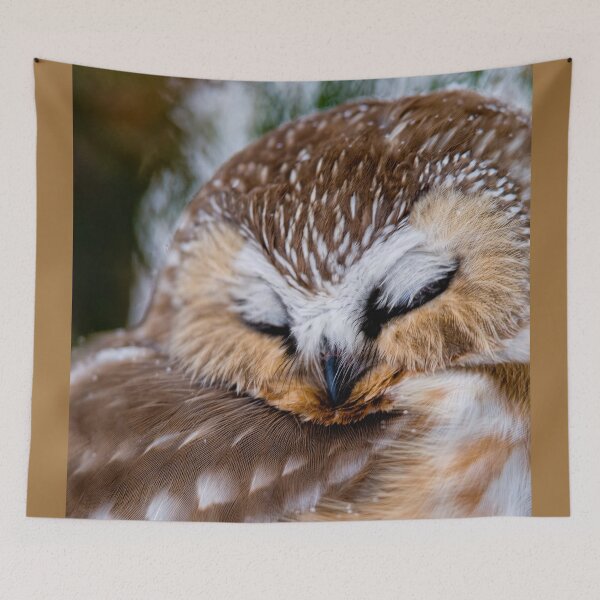 Item preview, Northern Saw Whet Owl - Ottawa, Canada designed and sold by Michael Cummings.
