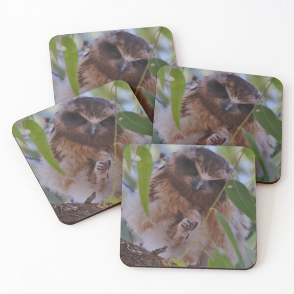 Item preview, A Threatening Young Boobook Owl designed and sold by Jason Gilbert.