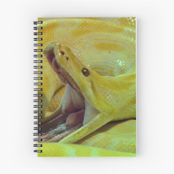 Item preview, Albino Burmese Python designed and sold by neil harrison.