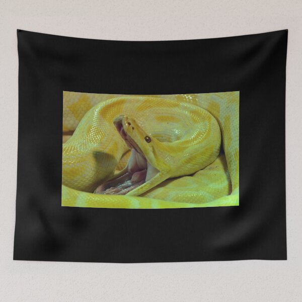 Item preview, Albino Burmese Python designed and sold by neil harrison.