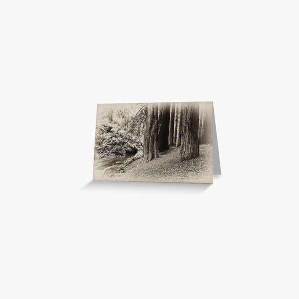 Item preview, Red Woods 2 - Otways Victoria designed and sold by Graeme Buckland.
