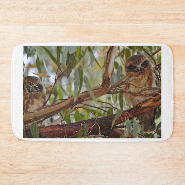 Item preview, Two Boobook Owls On A Branch designed and sold by Jason Gilbert.