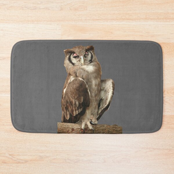 Item preview, Winking Owl tee designed and sold by TVD-Photography.