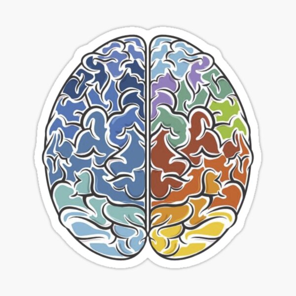 Brain Sticker