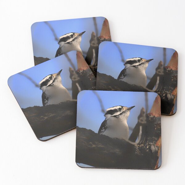 Item preview, Downy Woodpecker designed and sold by Yannik Hay.