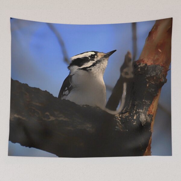 Item preview, Downy Woodpecker designed and sold by Yannik Hay.