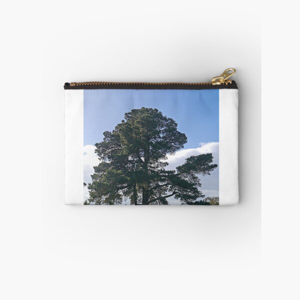 Item preview, Tree, Sandy Bay, Tasmania designed and sold by Margaret  Hyde.