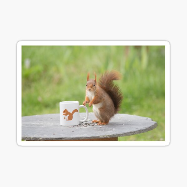 Item preview, The red squirrel and its mug designed and sold by VBMatossy.