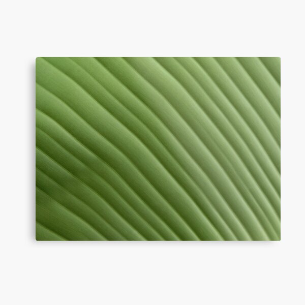 Arable Metal Print