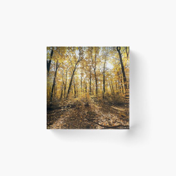 Item preview, "The Midas Touch" designed and sold by RCNaturephotos.