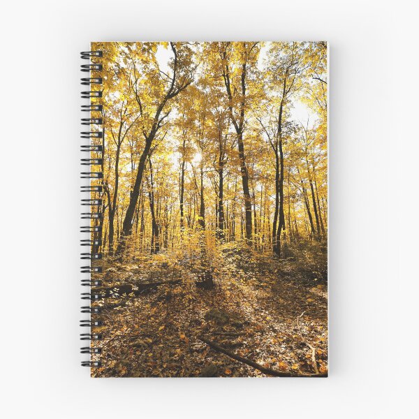 Item preview, "The Midas Touch" designed and sold by RCNaturephotos.