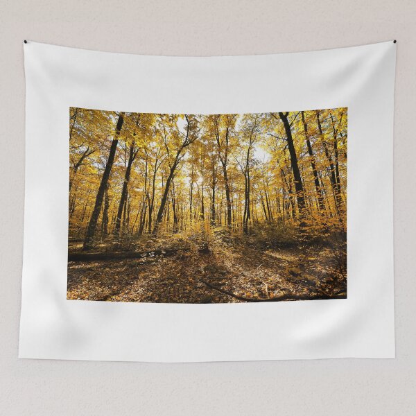 Item preview, "The Midas Touch" designed and sold by RCNaturephotos.