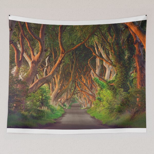 Item preview, Dark Hedges  Co Antrim  Northern Ireland Panorama designed and sold by Zdrojewski.